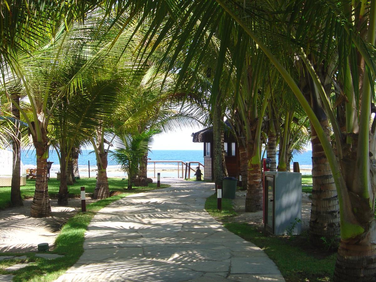 Nannai Porto de Galinhas